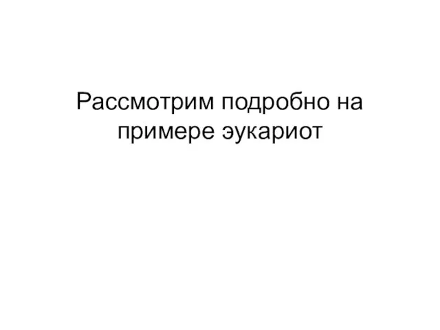 Рассмотрим подробно на примере эукариот