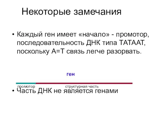 Некоторые замечания Каждый ген имеет «начало» - промотор, последовательность ДНК типа ТАТААТ,