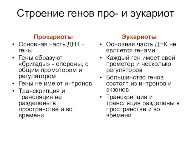 Строение генов про- и эукариот Прокариоты Основная часть ДНК - гены Гены