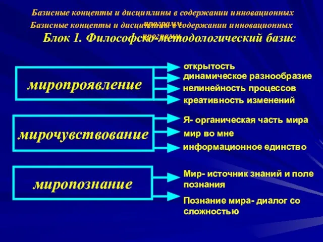 Базисные концепты и дисциплины в содержании инновационных программ Базисные концепты и дисциплины