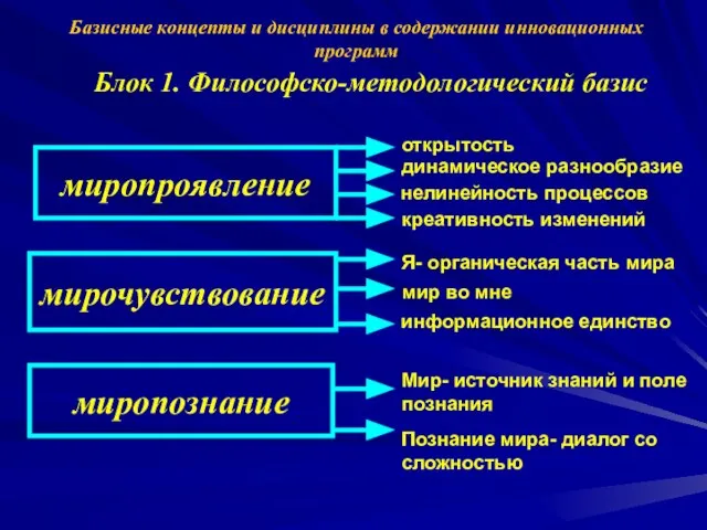 Базисные концепты и дисциплины в содержании инновационных программ Блок 1. Философско-методологический базис