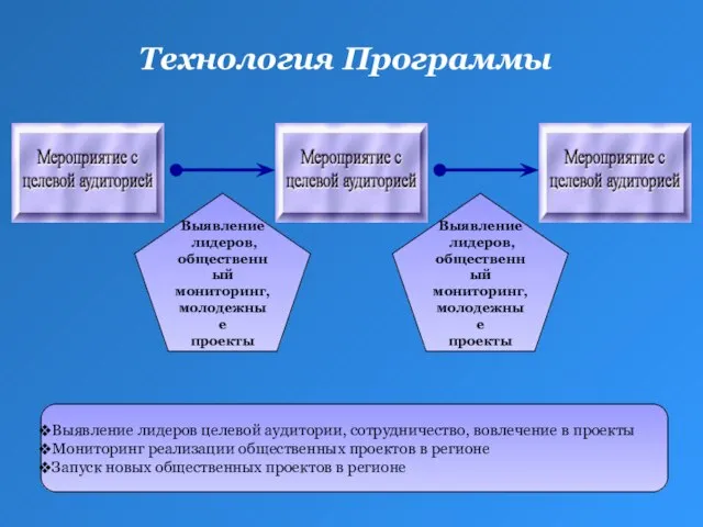 Технология Программы Выявление лидеров, общественный мониторинг, молодежные проекты Выявление лидеров, общественный мониторинг,