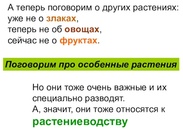 А теперь поговорим о других растениях: уже не о злаках, теперь не