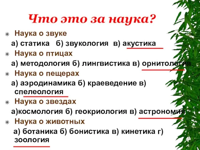 Что это за наука? Наука о звуке а) статика б) звукология в)