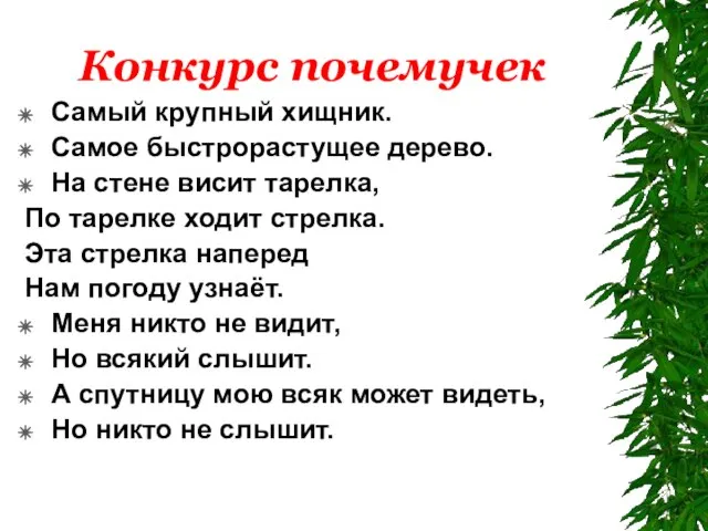 Конкурс почемучек Самый крупный хищник. Самое быстрорастущее дерево. На стене висит тарелка,