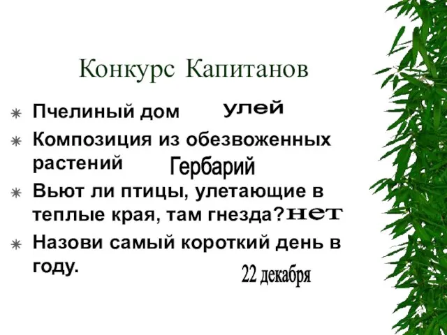 Конкурс Капитанов Пчелиный дом Композиция из обезвоженных растений Вьют ли птицы, улетающие