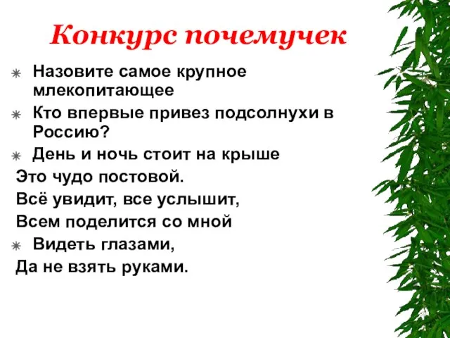 Конкурс почемучек Назовите самое крупное млекопитающее Кто впервые привез подсолнухи в Россию?