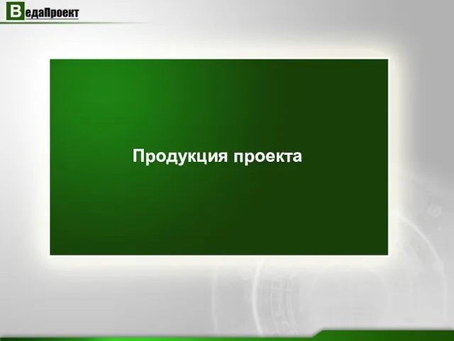 Продукция проекта