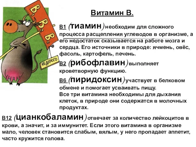 Витамин В. В1 (тиамин) необходим для сложного процесса расщепления углеводов в организме,