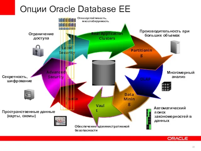 Опции Oracle Database EE Vault Real Application Clusters Partitioning Data Mining OLAP