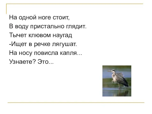 На одной ноге стоит, В воду пристально глядит. Тычет клювом наугад -Ищет