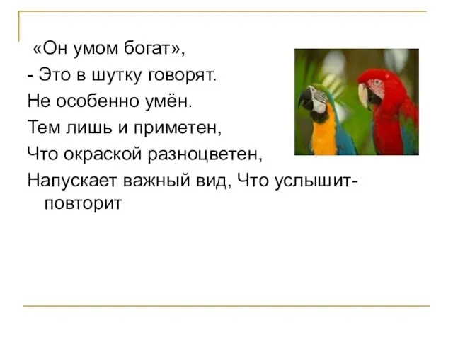 «Он умом богат», - Это в шутку говорят. Не особенно умён. Тем