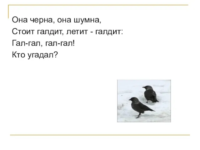 Она черна, она шумна, Стоит галдит, летит - галдит: Гал-гал, гал-гал! Кто угадал?