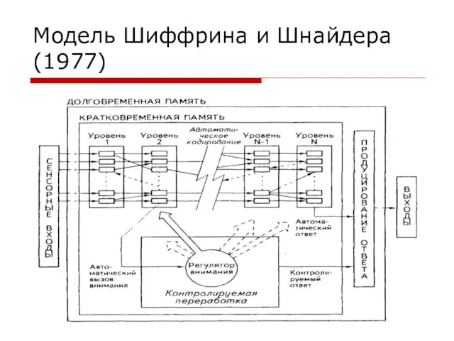 Модель Шиффрина и Шнайдера (1977)