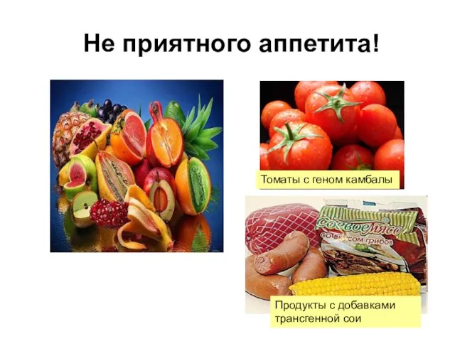 Не приятного аппетита! Томаты с геном камбалы Продукты с добавками трансгенной сои