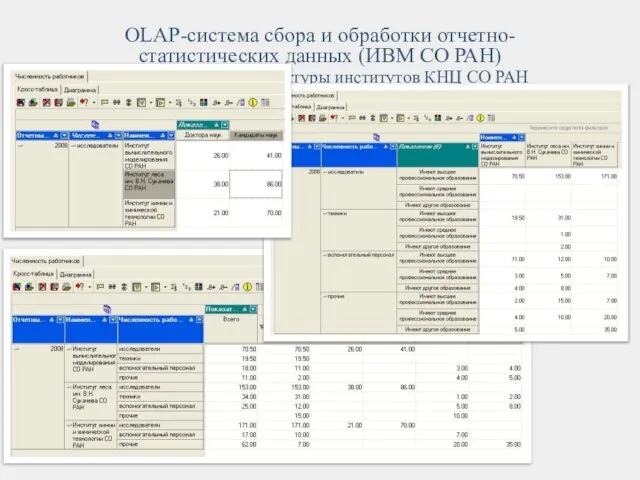 OLAP-система сбора и обработки отчетно-статистических данных (ИВМ СО РАН) Анализ кадровой структуры институтов КНЦ СО РАН