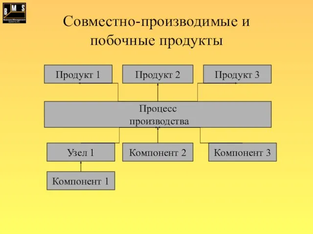 Совместно-производимые и побочные продукты Узел 1 Компонент 2 Компонент 3 Компонент 1 Процесс производства