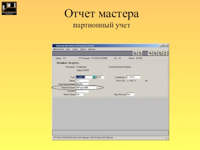 Отчет мастера партионный учет