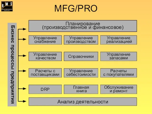 MFG/PRO Планирование (производственное и финансовое) Расчеты с покупателями Расчеты с поставщиками Анализ