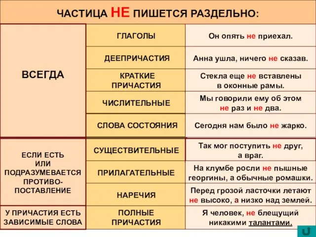 ЧАСТИЦА НЕ ПИШЕТСЯ РАЗДЕЛЬНО: ГЛАГОЛЫ ДЕЕПРИЧАСТИЯ КРАТКИЕ ПРИЧАСТИЯ ЧИСЛИТЕЛЬНЫЕ СЛОВА СОСТОЯНИЯ СУЩЕСТВИТЕЛЬНЫЕ