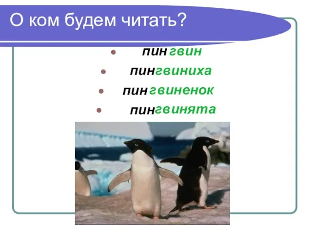 О ком будем читать? гвин гвиниха гвиненок гвинята пин пин пин пин