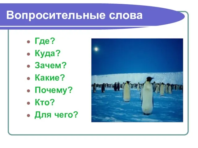 Вопросительные слова Где? Куда? Зачем? Какие? Почему? Кто? Для чего?