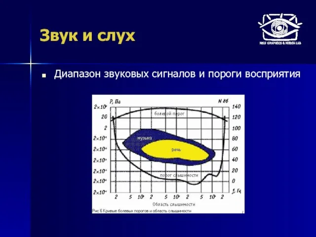 Звук и слух Диапазон звуковых сигналов и пороги восприятия