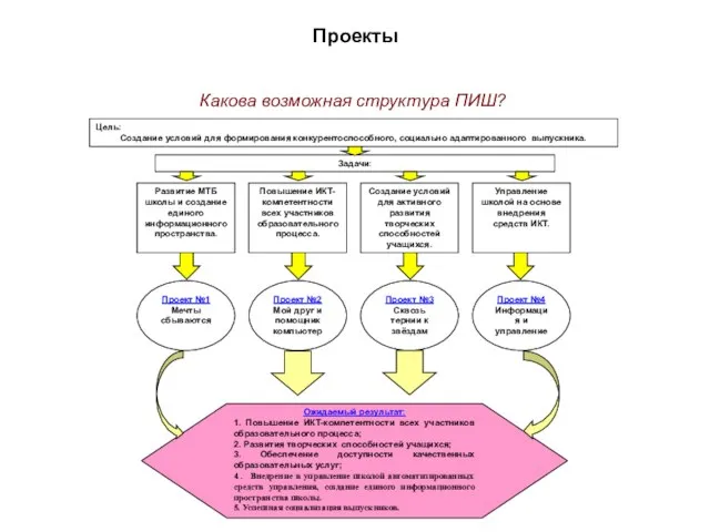 Проекты Какова возможная структура ПИШ?