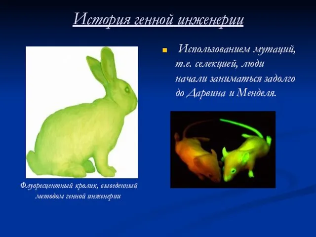 История генной инженерии Использованием мутаций, т.е. селекцией, люди начали заниматься задолго до