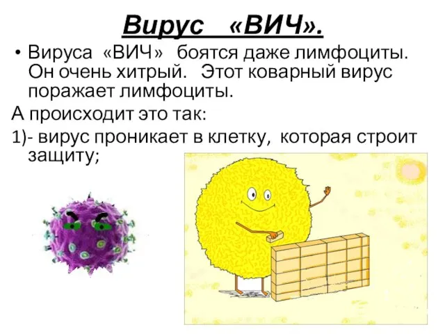 Вирус «ВИЧ». Вируса «ВИЧ» боятся даже лимфоциты. Он очень хитрый. Этот коварный