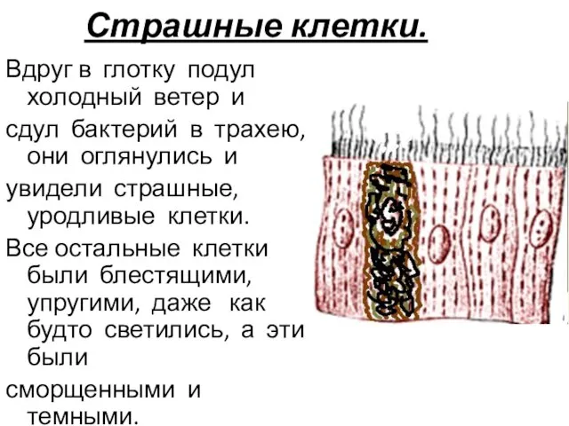 Страшные клетки. Вдруг в глотку подул холодный ветер и сдул бактерий в