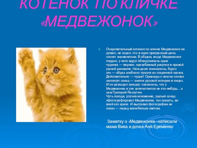 КОТЕНОК ПО КЛИЧКЕ «МЕДВЕЖОНОК» Очаровательный котенок по кличке Медвежонок не думал, не