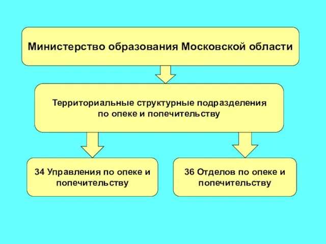 Министерство образования Московской области Территориальные структурные подразделения по опеке и попечительству 34