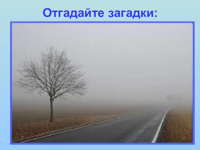 Отгадайте загадки: Седой дедушка у ворот Все глаза нам заволок.