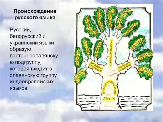 Происхождение русского языка Русский, белорусский и украинский языки образуют восточнославянскую подгруппу, которая