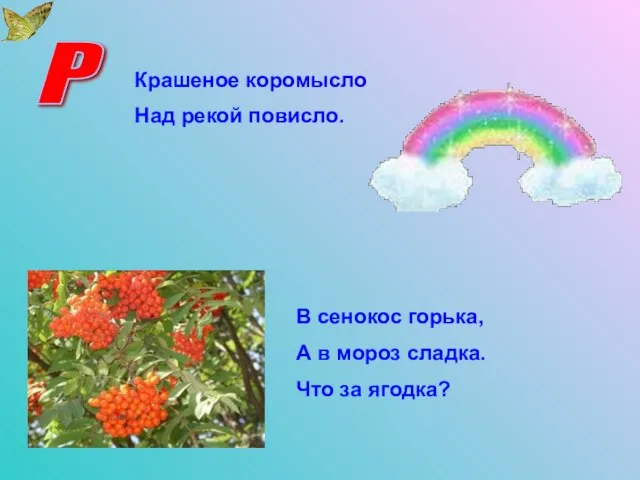 Р Крашеное коромысло Над рекой повисло. В сенокос горька, А в мороз сладка. Что за ягодка?