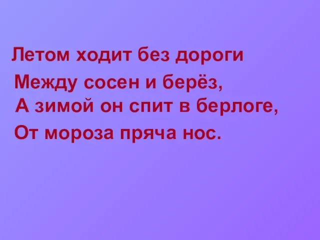 Летом ходит без дороги Между сосен и берёз, А зимой он спит