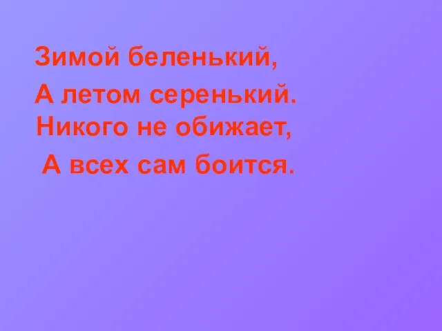 Зимой беленький, А летом серенький. Никого не обижает, А всех сам боится.