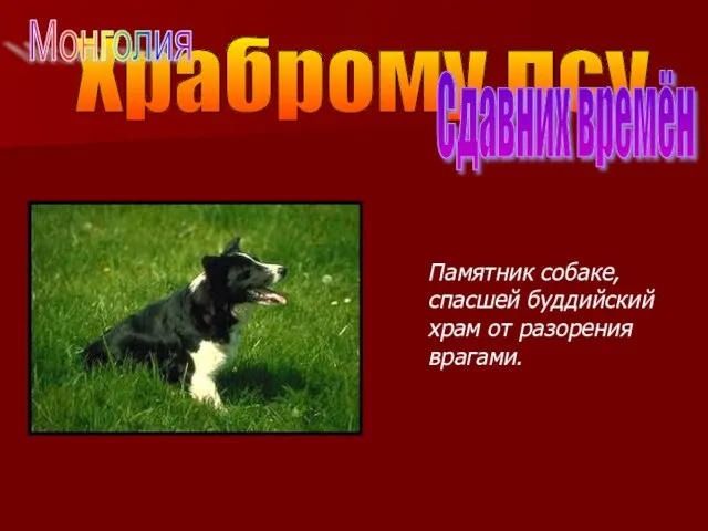 Храброму псу Сдавних времён Памятник собаке, спасшей буддийский храм от разорения врагами. Монголия