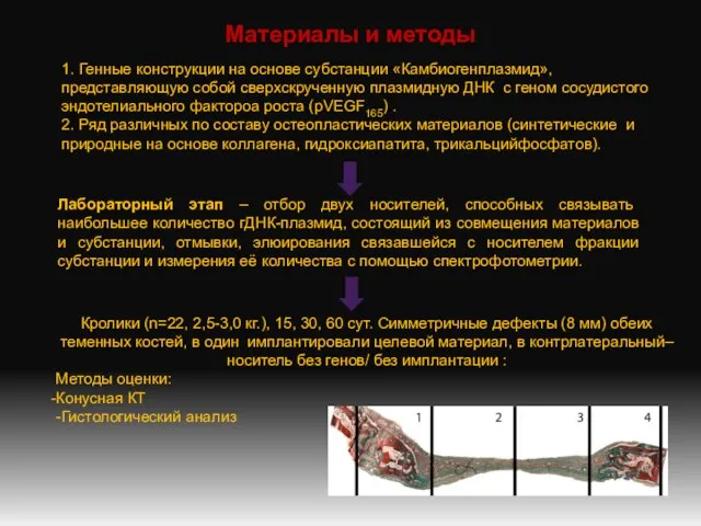 Материалы и методы 1. Генные конструкции на основе субстанции «Камбиогенплазмид», представляющую собой