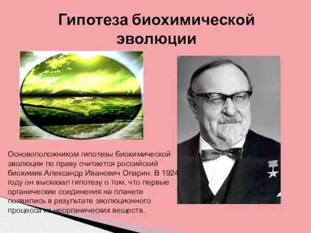 Гипотеза биохимической эволюции Основоположником гипотезы биохимической эволюции по праву считается российский биохимик