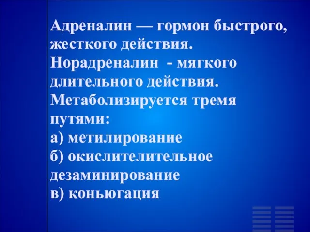 Адреналин — гормон быстрого, жесткого действия. Норадреналин - мягкого длительного действия. Метаболизируется