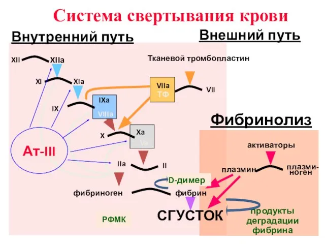 IX IXa VIIIa X Xa Va II IIa VII Тканевой тромбопластин активаторы