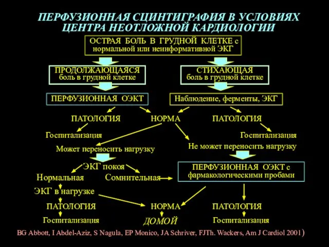 ОСТРАЯ БОЛЬ В ГРУДНОЙ КЛЕТКЕ с нормальной или неинформативной ЭКГ ПЕРФУЗИОННАЯ ОЭКТ