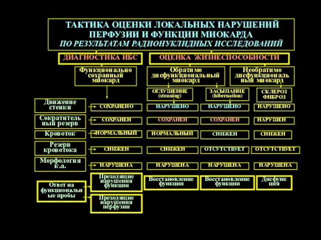 ТАКТИКА ОЦЕНКИ ЛОКАЛЬНЫХ НАРУШЕНИЙ ПЕРФУЗИИ И ФУНКЦИИ МИОКАРДА ПО РЕЗУЛЬТАТАМ РАДИОНУКЛИДНЫХ ИССЛЕДОВАНИЙ