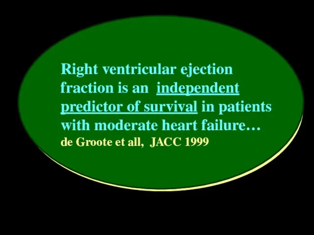 Right ventricular ejection fraction is an independent predictor of survival in patients