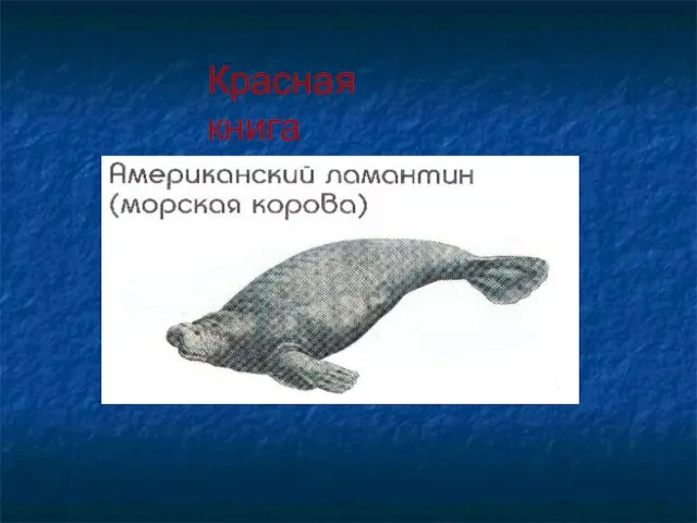 Красная книга