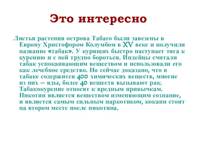 Это интересно Листья растения острова Табаго были завезены в Европу Христофором Колумбом