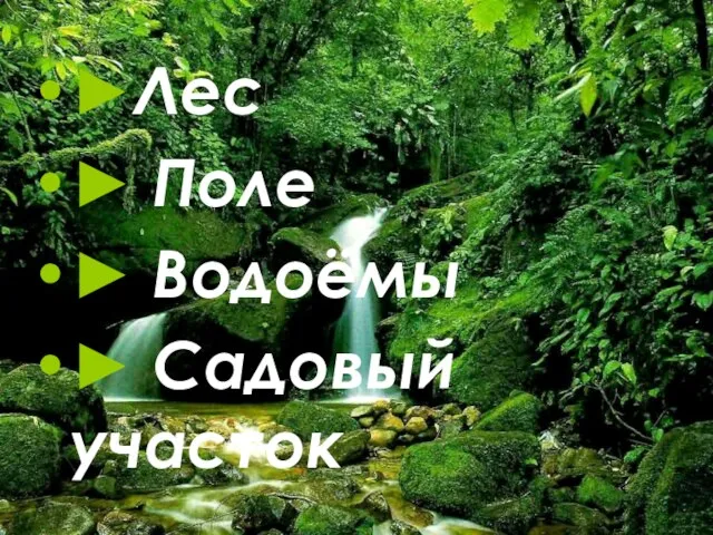 ►Лес ► Поле ► Водоёмы ► Садовый участок