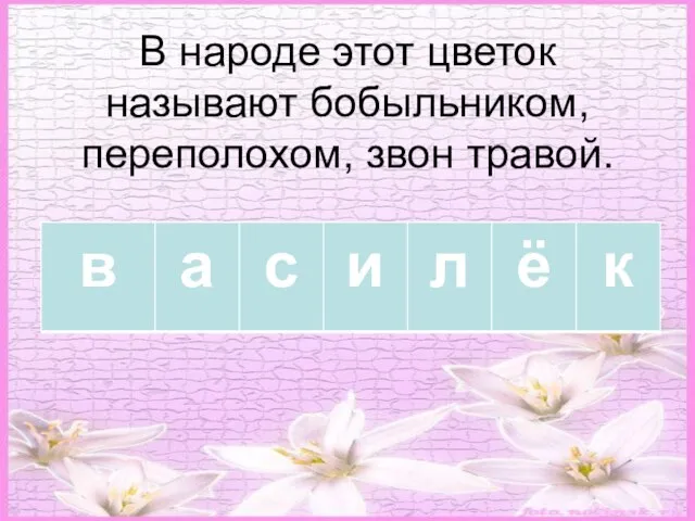 В народе этот цветок называют бобыльником, переполохом, звон травой.